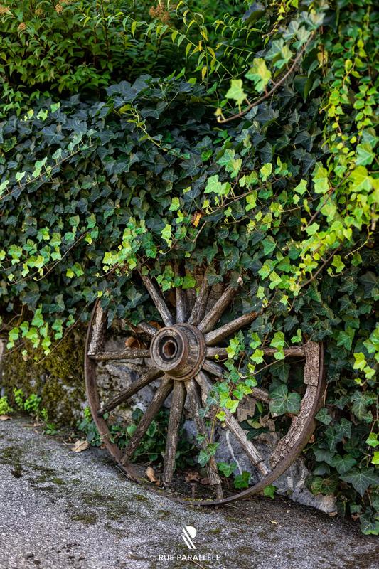 Villa - 470 m² - 7 pièces