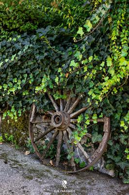 Villa - 470 m² - 7 pièces