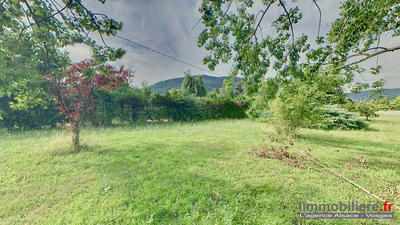 Terrain - 3 350 m²