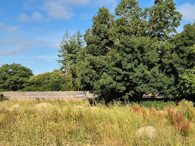 Parking / Garage - 195 m²