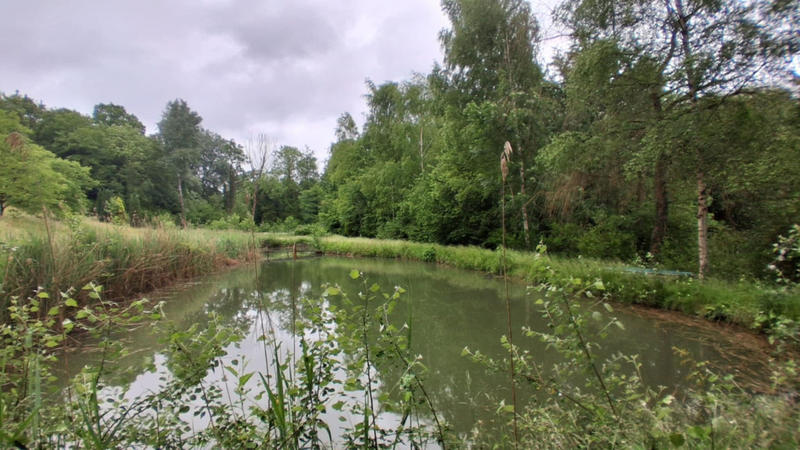 Étang - 6 880 m²