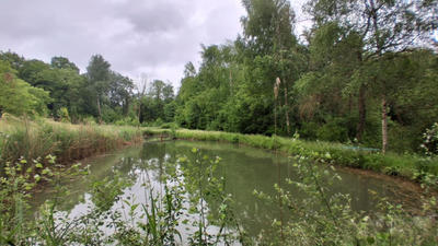 Étang - 6 880 m²