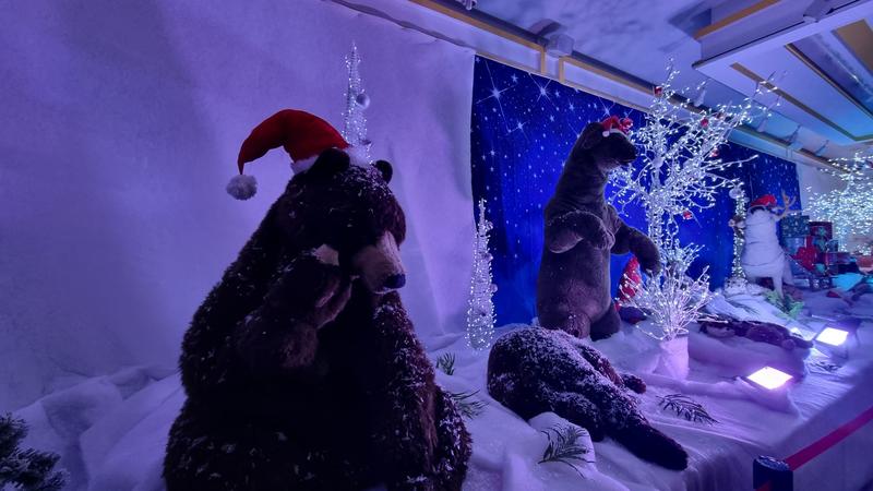 Exposition la forêt enchantée