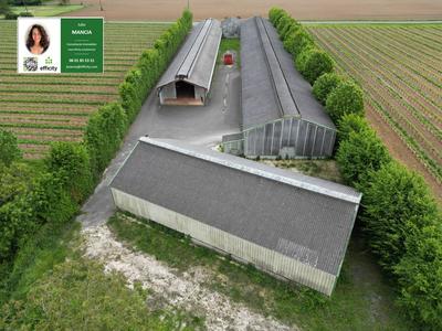 Bureau - 2 282 m² - 6 pièces