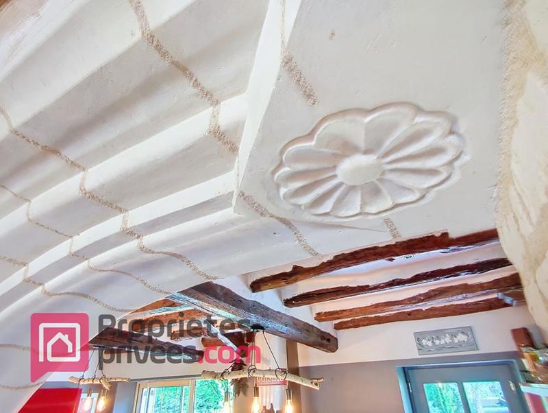 Propriété - 280 m² - 8 pièces