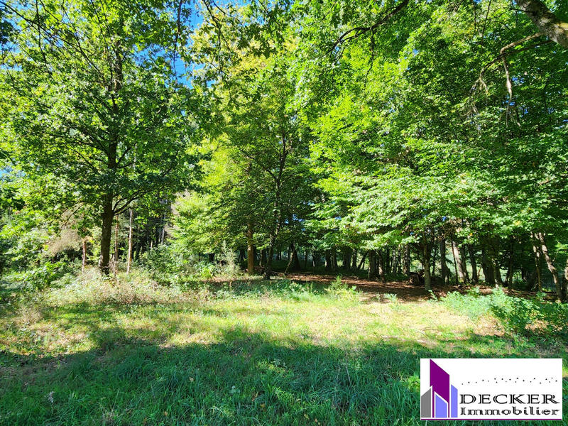 Maison - 134 m² - 6 pièces