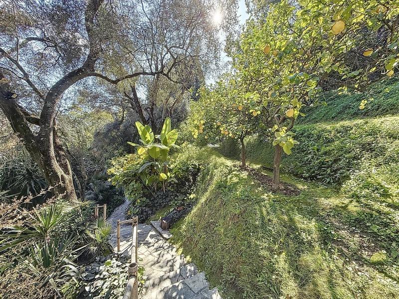 Propriété - 650 m² - 14 pièces