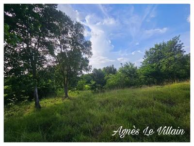 Terrain constructible - 2 983 m²