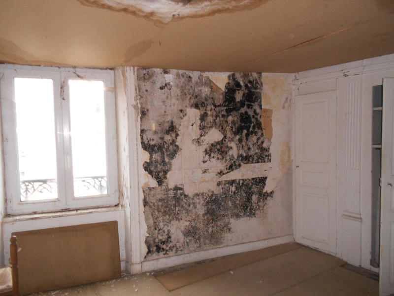 Triplex - 120 m² - 6 pièces