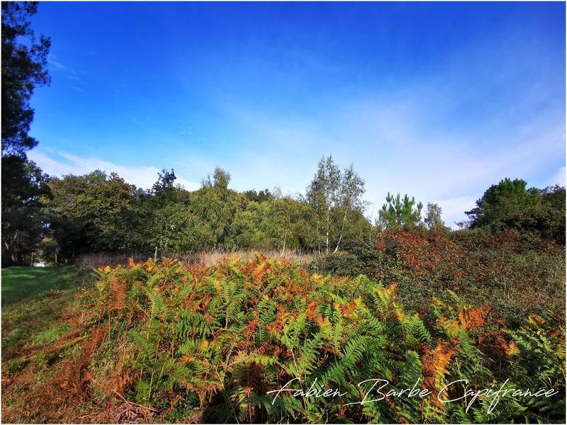 Terrain - 20 450 m²