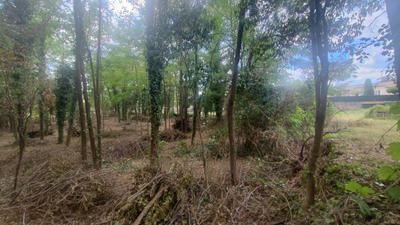 Terrain - 3 170 m²