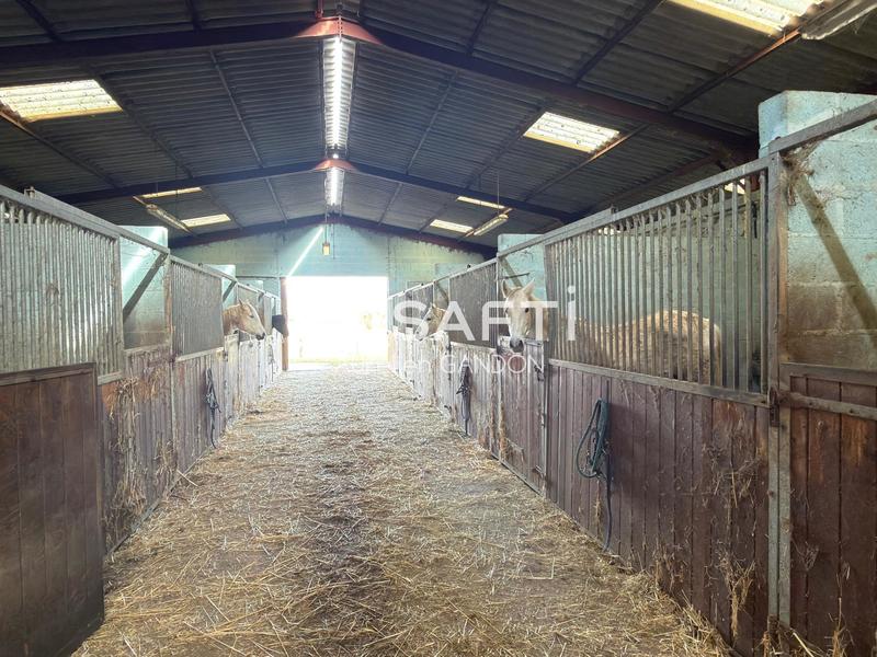 Maison - 173 m² - 7 pièces