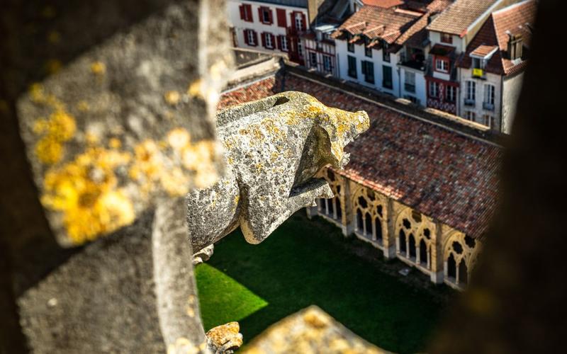 Visite guidée : la tour sud de la cathédrale