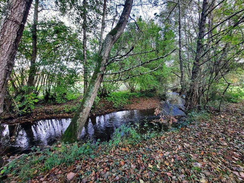 Moulin - 234 m² - 9 pièces