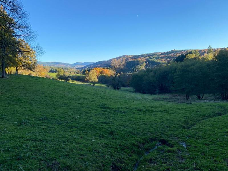 Corps de ferme - 350 m² - 6 pièces