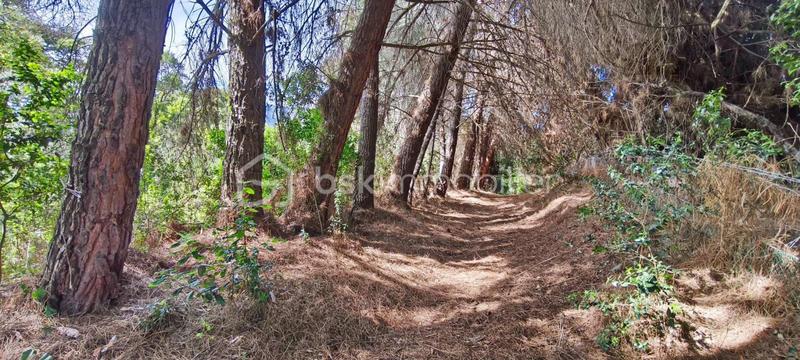 Terrain constructible - 2 862 m²