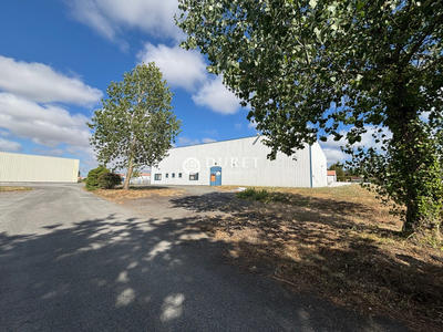 Local d'activités - 880 m²