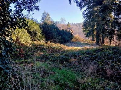 Terrain constructible - 3 574 m²