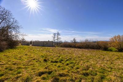 Terrain constructible - 1 254 m²