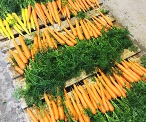 Ferme de Bretonvilliers