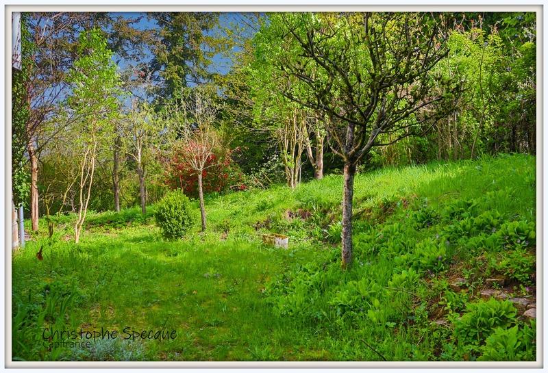 Maison - 143 m² - 6 pièces