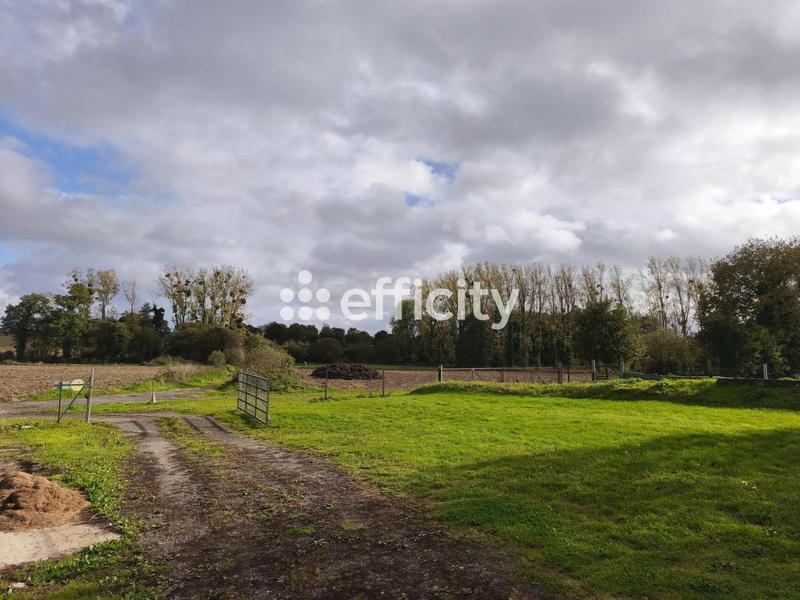 Maison ancienne - 236 m² - 5 pièces