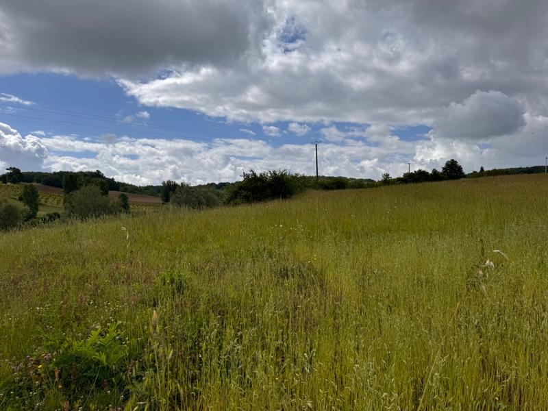 Terrain constructible - 1 010 m²