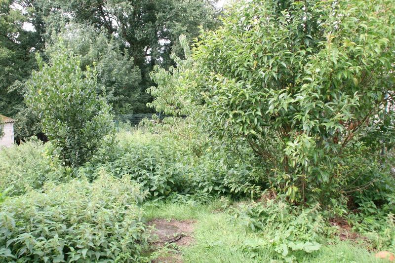 Maison - 120 m² - 2 pièces