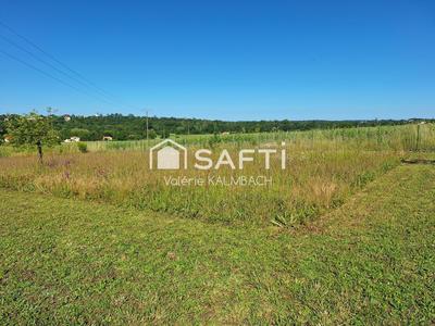 Terrain - 1 011 m²