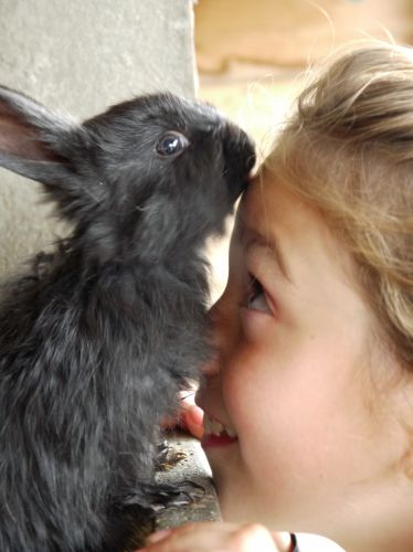 Ferme Pédagogique de la Moulerette