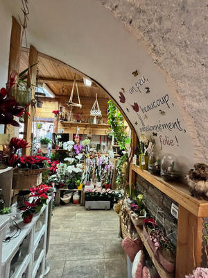 Local commercial - 50 m² - 3 pièces