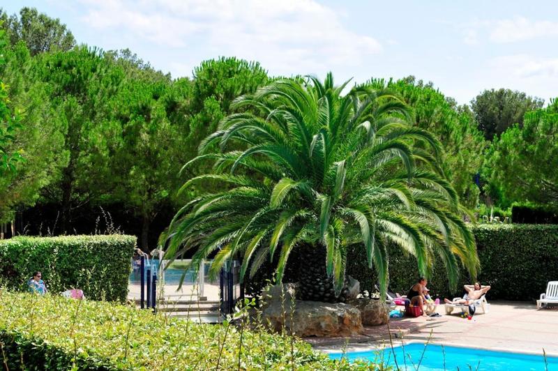 Studio - 20 m² - 1 pièce