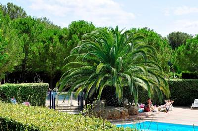 Studio - 20 m² - 1 pièce