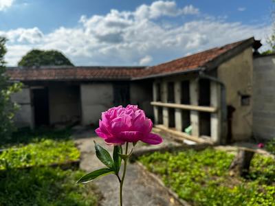 Maison - 85 m² - 5 pièces