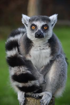 La Réserve Exotique