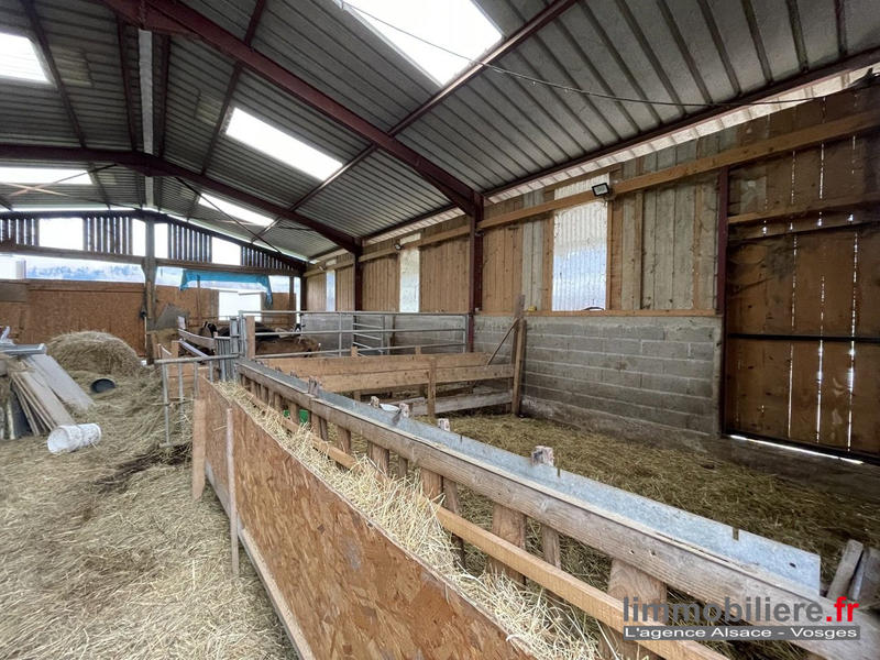 Maison - 315 m² - 3 pièces