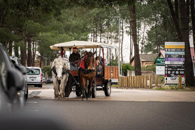Calèche, vin chaud, atelier maquillage &amp; goûter ● Noël 2025