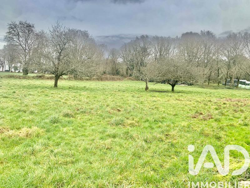 Maison - 100 m² - 3 pièces