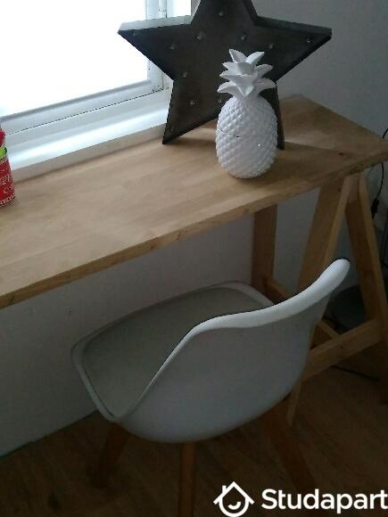 Appartement - 16 m² - 1 pièce