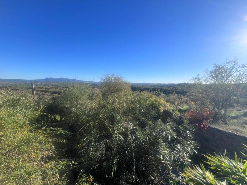 Maison provençale - 183 m² - 8 pièces