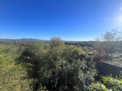 Maison provençale - 183 m² - 8 pièces