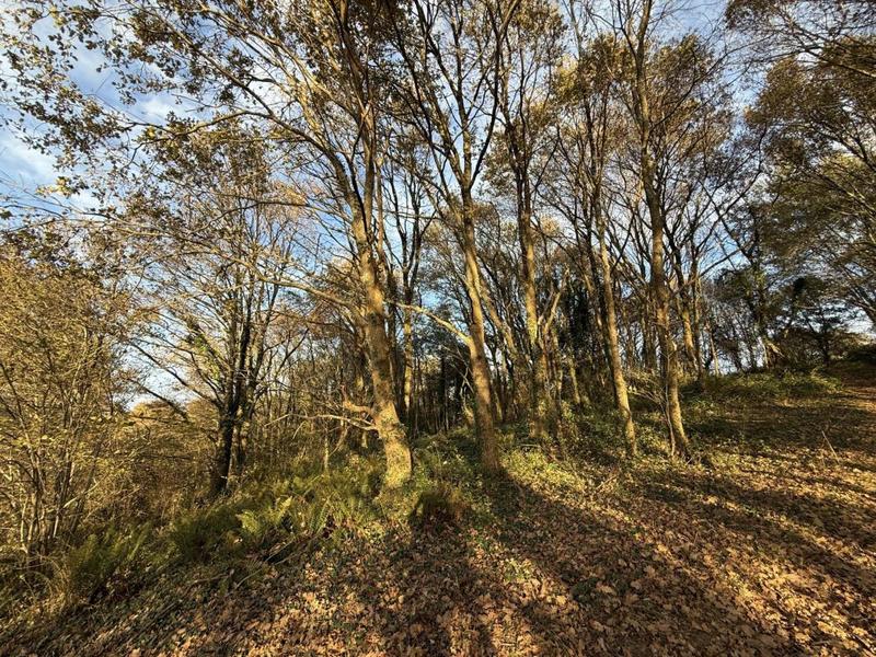 Terrain - 15 500 m²