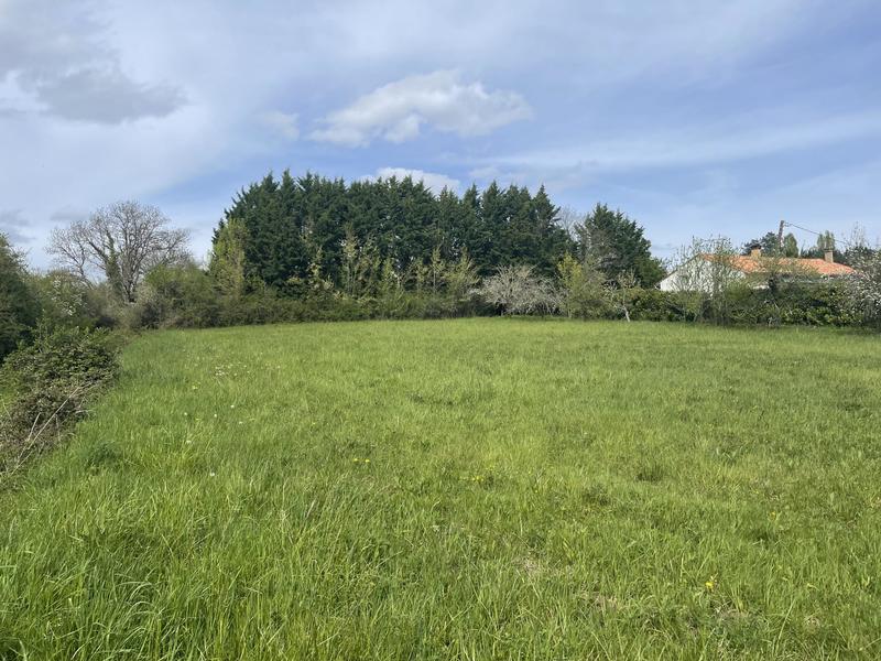 Terrain agricole - 2 843 m²