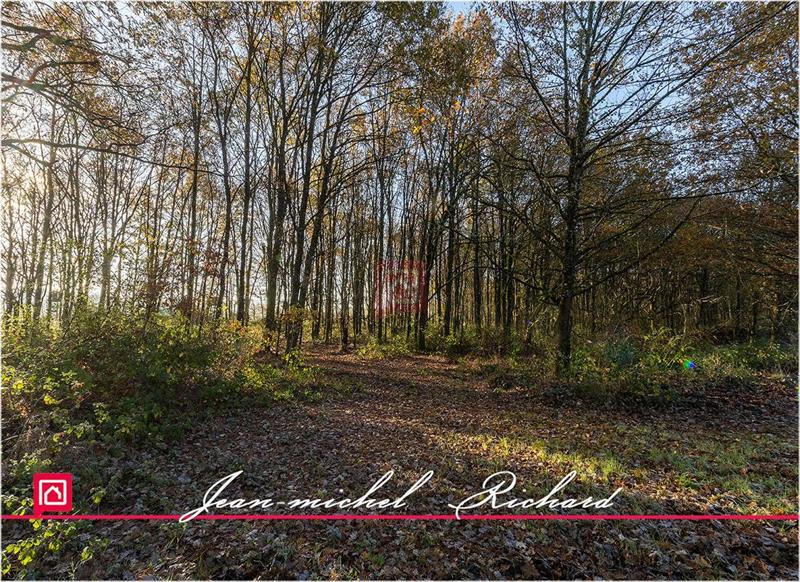 Étang - 166 990 m²