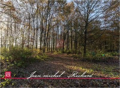 Étang - 166 990 m²