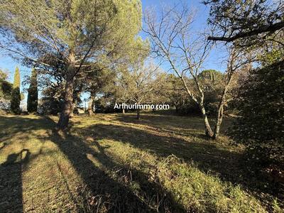 Terrain - 654 m²