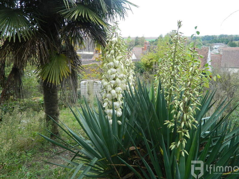 Immeuble - 221 m² - 12 pièces