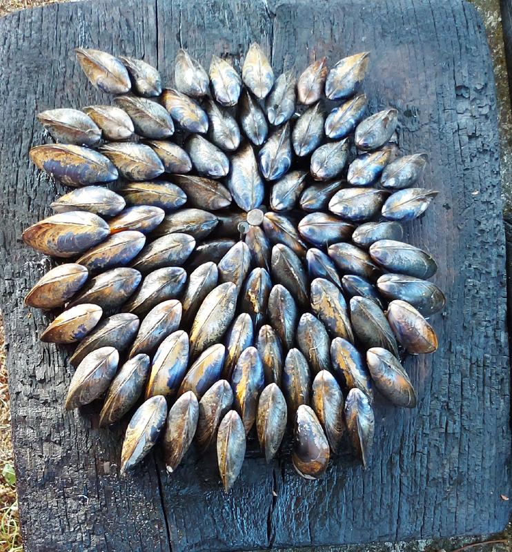 Soirée éclade, feu d'artifice et bal