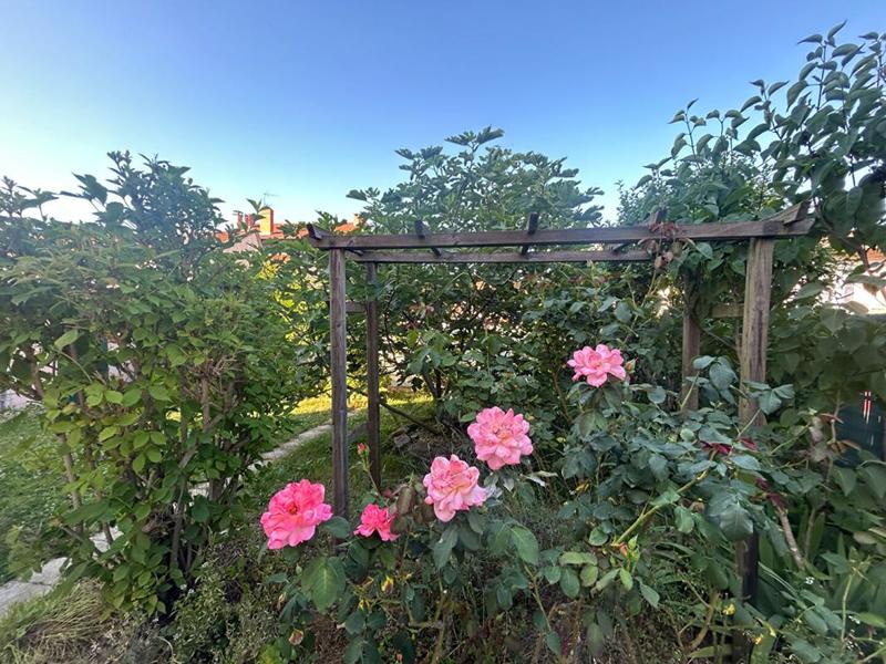 Maison - 133 m² - 7 pièces