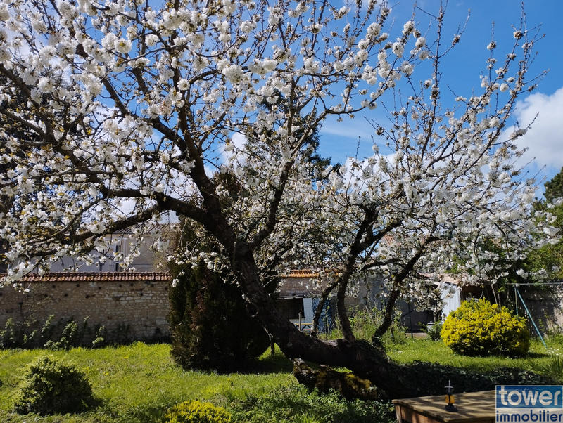 Maison - 309 m² - 12 pièces